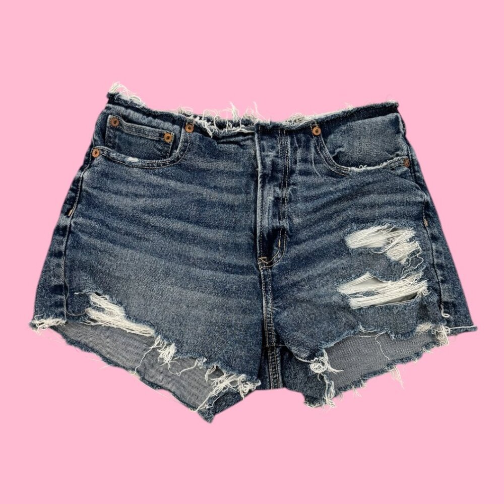 American Eagle Denim Shorts